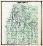 Saugatuck Township, Douglas, Kalamazoo River, Allegan County 1873